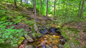 Apartamenty ROYAL APARTS Centrum - Kilińskiego 17A przy wyciągu, blisko szlaków