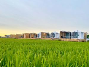 Fulfield Cafe&Resort