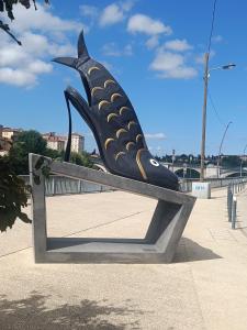 Grand Studio meublé chez COCO