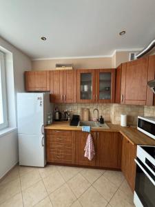 Apartament Świętoszów 2