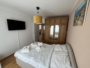 Apartament Świętoszów 2