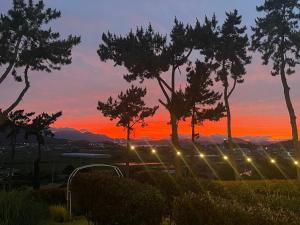 Wando Haegeum Pension