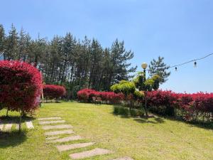 Wando Haegeum Pension