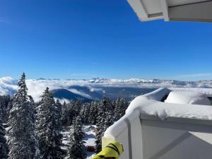 Appartements Joli studio refait a neuf : photos des chambres