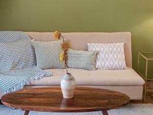 AC 1BHK in Lower Dharamsala with power backup