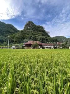 Nùng An homestay - Jingxi