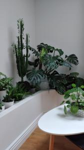 Expérience Inouïe à Orléans !