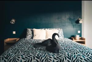 Appartements Le Cosy : photos des chambres