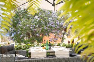 Emblemática Los Helechos