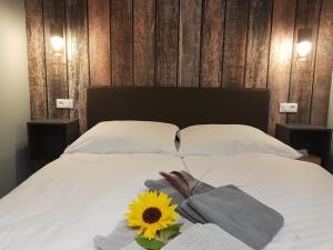 Appartements L-ESCALE d-ALSACE : photos des chambres