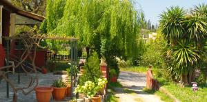 Holiday house near the beach of Ermones and Mirtiotissa in Vatos Corfu
