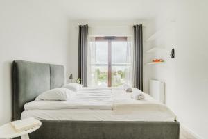 ShortStayPoland Naruszewicza (B77)