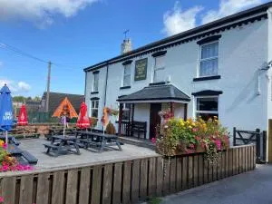 The willow tree inn - 萨顿因阿什菲尔德