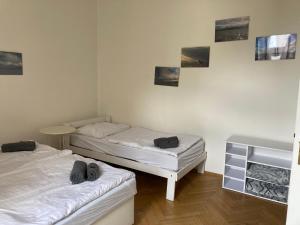 Castle View Apartment