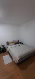 Studio Intim si Cochet