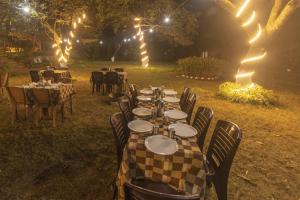 WOW STAYZ2 Misty Meadows