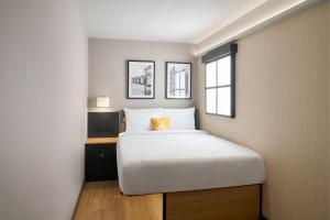 Windowless Double Pod room in The County