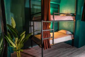 Scubadoo house and Diving