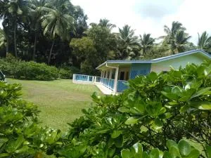 Te Moana Nui Villa 4 - Avarua