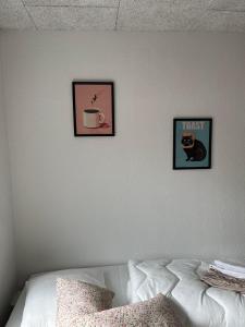 Billund mini hostel room 10 - Tæt på LEGOLAND og LEGO House