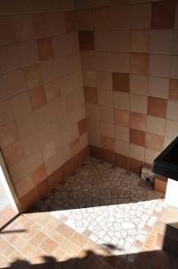 Domus Divia IUN R9515 img13