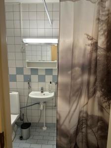 Hostel400Kokkola kolmio Hollihaka
