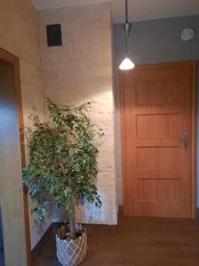 Dom Salamandra z panoramą gór