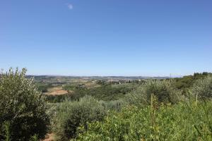 Villa Poggio La Leona