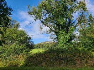 Gorgeous Wicklow Hills Hideaway