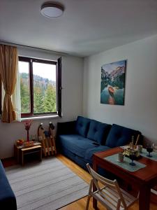 Kopaonik apartman 11