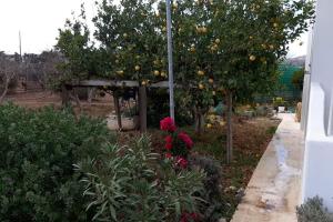 Gardenparadise Sifnaios in Paros