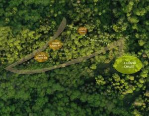 Lodge en pleine foret domaniale