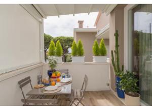 Residenza Bellaluce - appartamento a Marina di Cecina