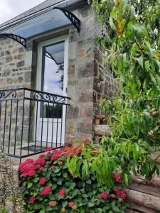 Maisons de vacances GITE CHEZ BERTHE : photos des chambres