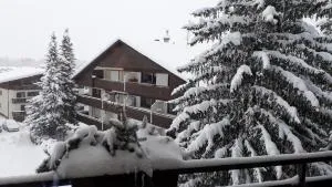 Apartment Bergblick 2 - Apfeldorf
