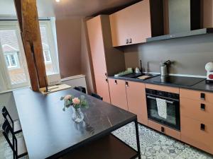 Appartements Lumineux T2 50 m2 - hypercentre Besancon : photos des chambres