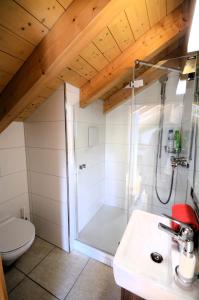 Luxury Penthouse Apartment