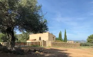 Gîte Bergerie Saint Michel - Zilia