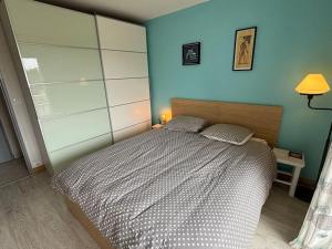 Appartements Carre d-or Res Edelweiss 4 Pers avec parking : photos des chambres