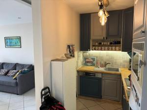 Appartements Carre d-or Res Edelweiss 4 Pers avec parking : Appartement 2 Chambres