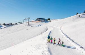 Bockspitze Deluxe Appartements