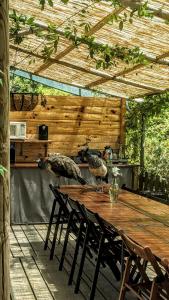 Verde Água Agroturismo e Agricultura Biológica