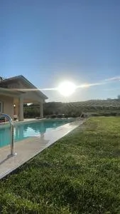 L'Oro Verde - Monte Flavio