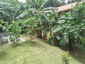 Luxury apartmеnt with private terrace in Altos del Maria