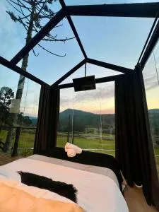 Flor da serra - Mundo Novo