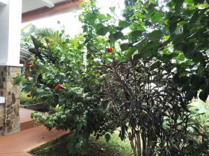 Luxury apartmеnt with private terrace in Altos del Maria