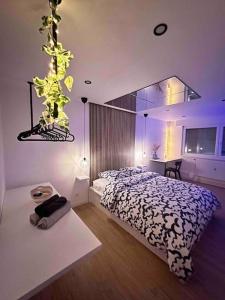 Appartements Blue pearl : photos des chambres