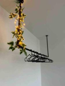 Appartements Blue pearl : photos des chambres