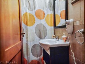 Tulipanes - Andarlibre