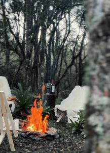 Cabana Bolha Urubici